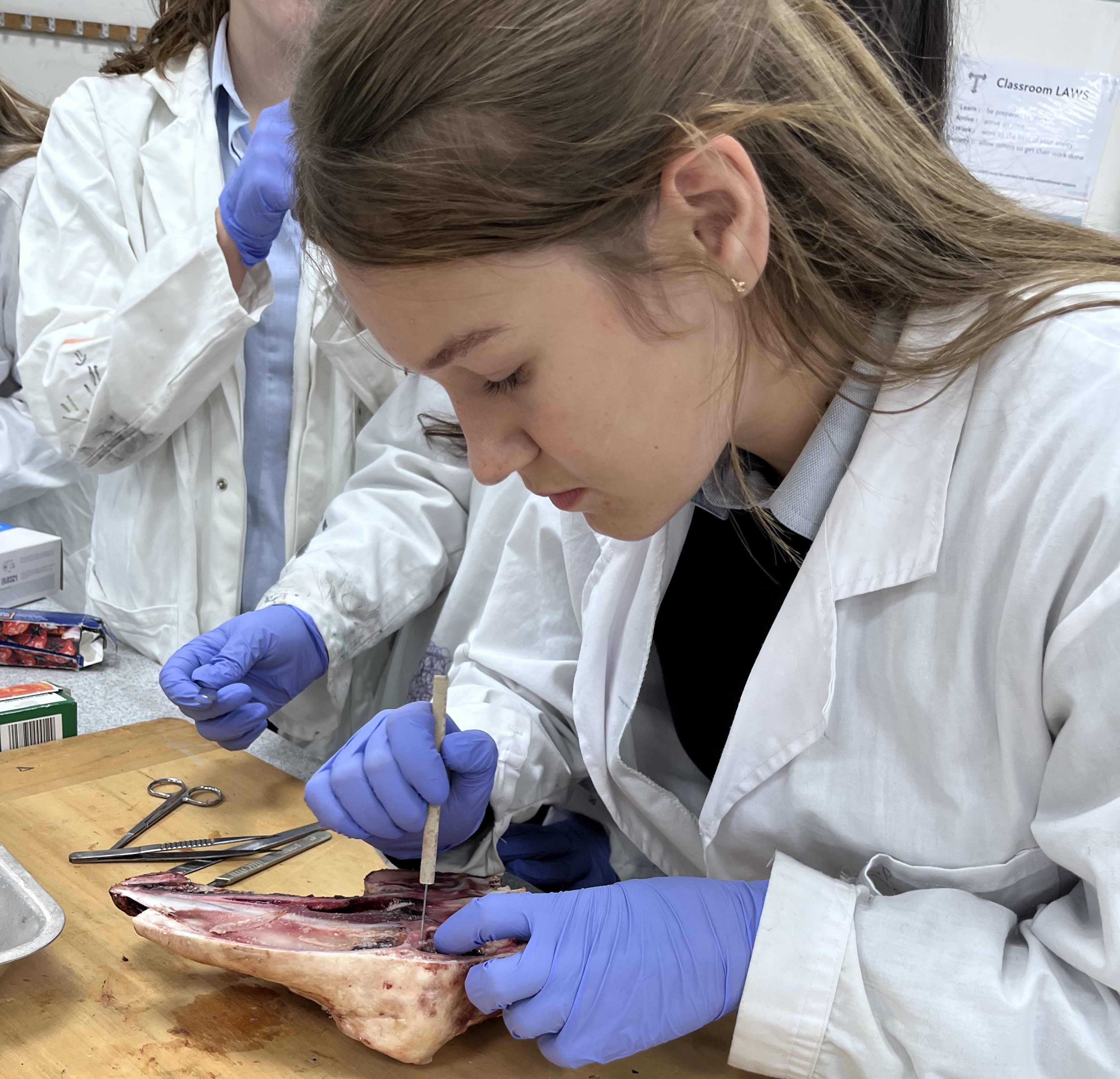 Welcome to the Tranby Medical Academy