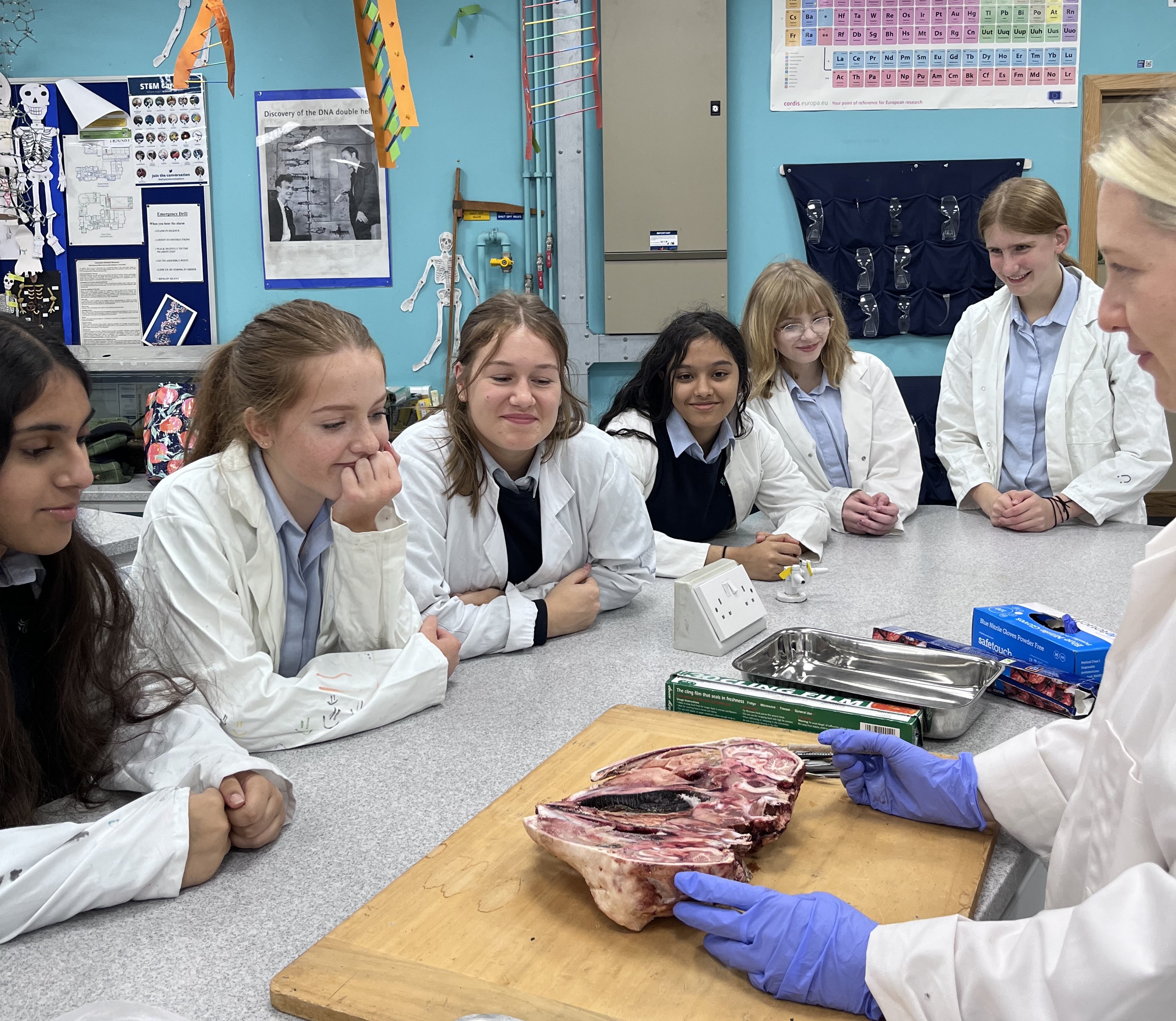 Inspiring Future Medics