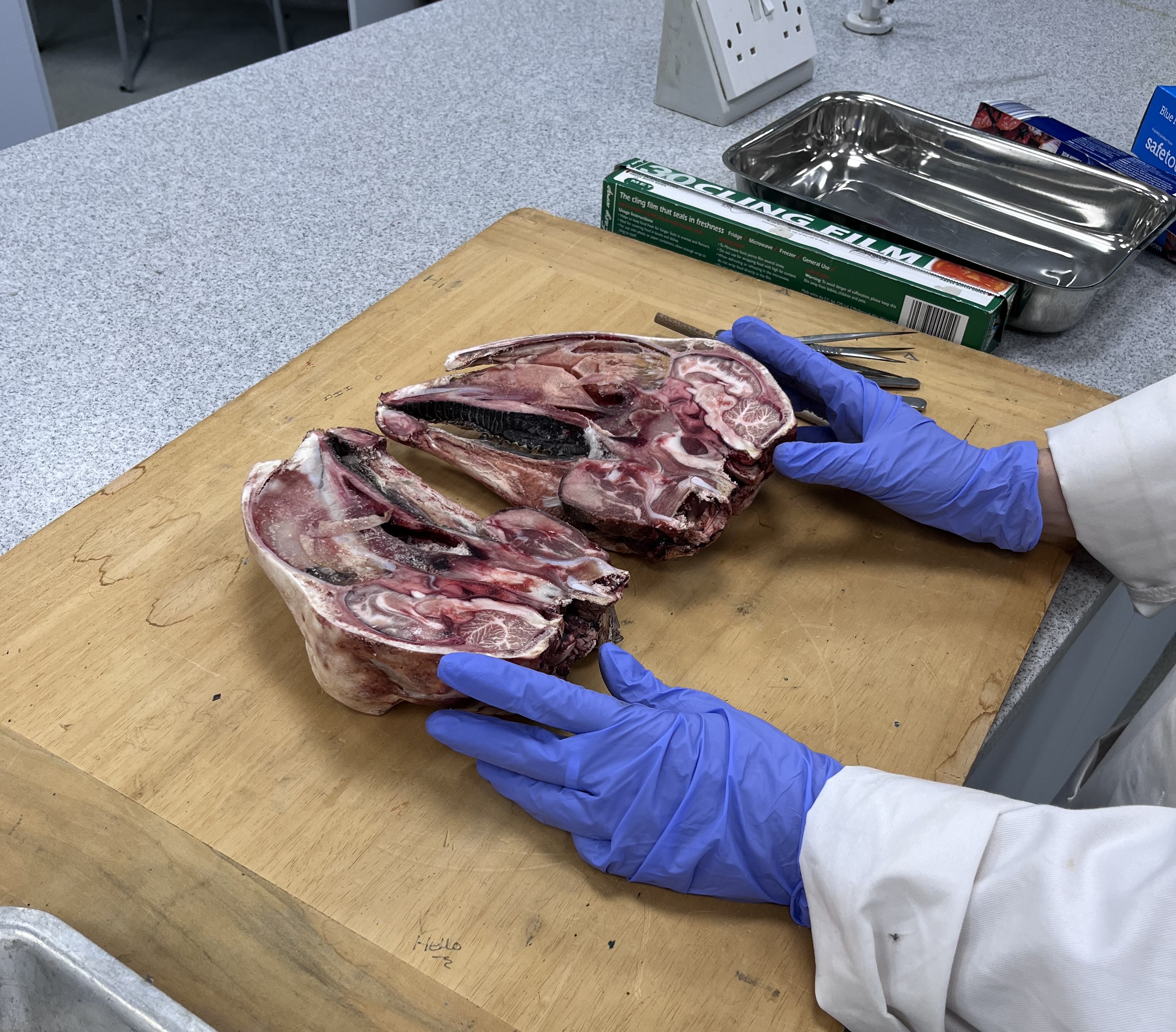 What Happens at the Tranby Medical Academy?