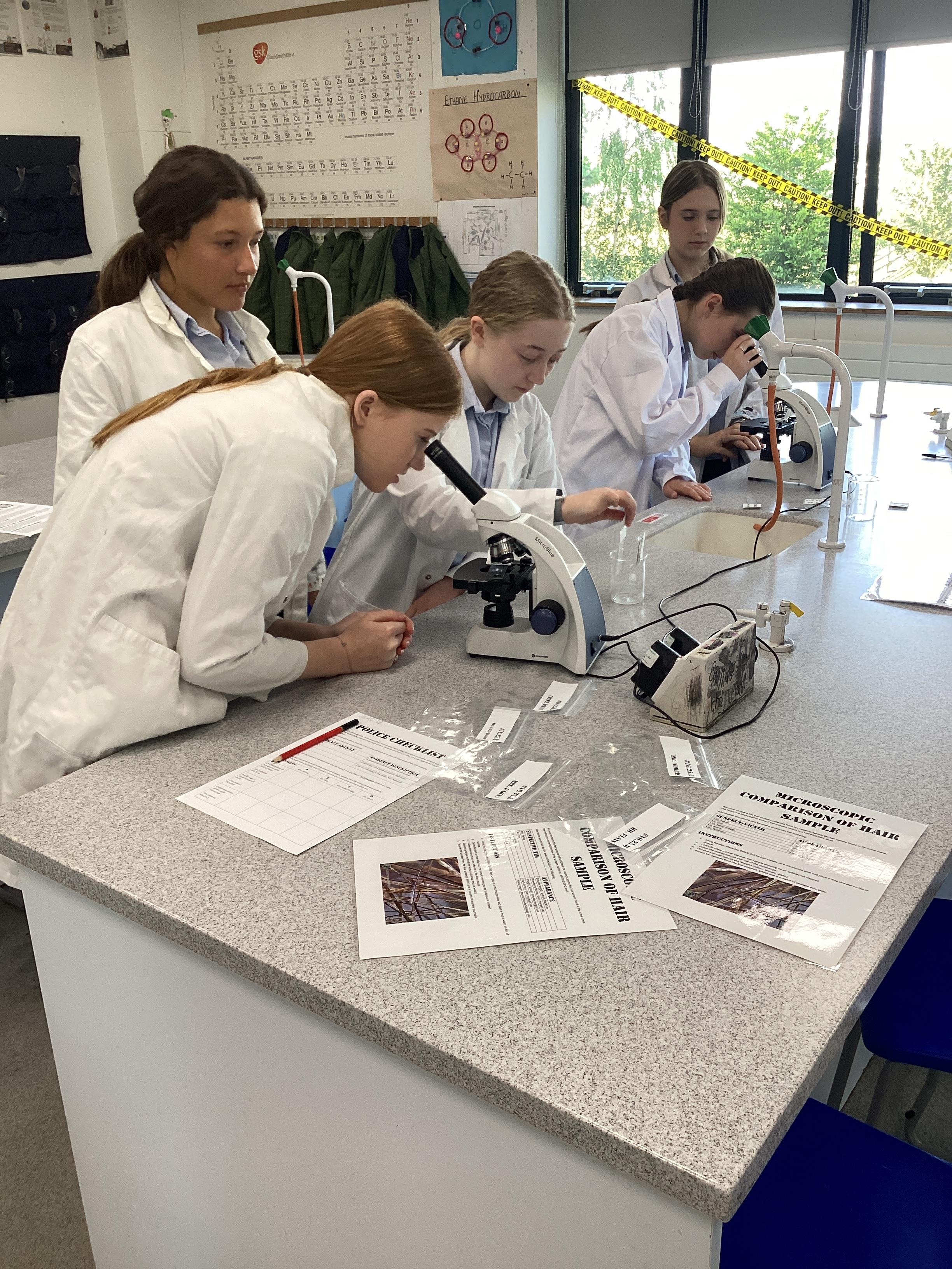 STEM Day 2025 Sparks Curiosity at Tranby