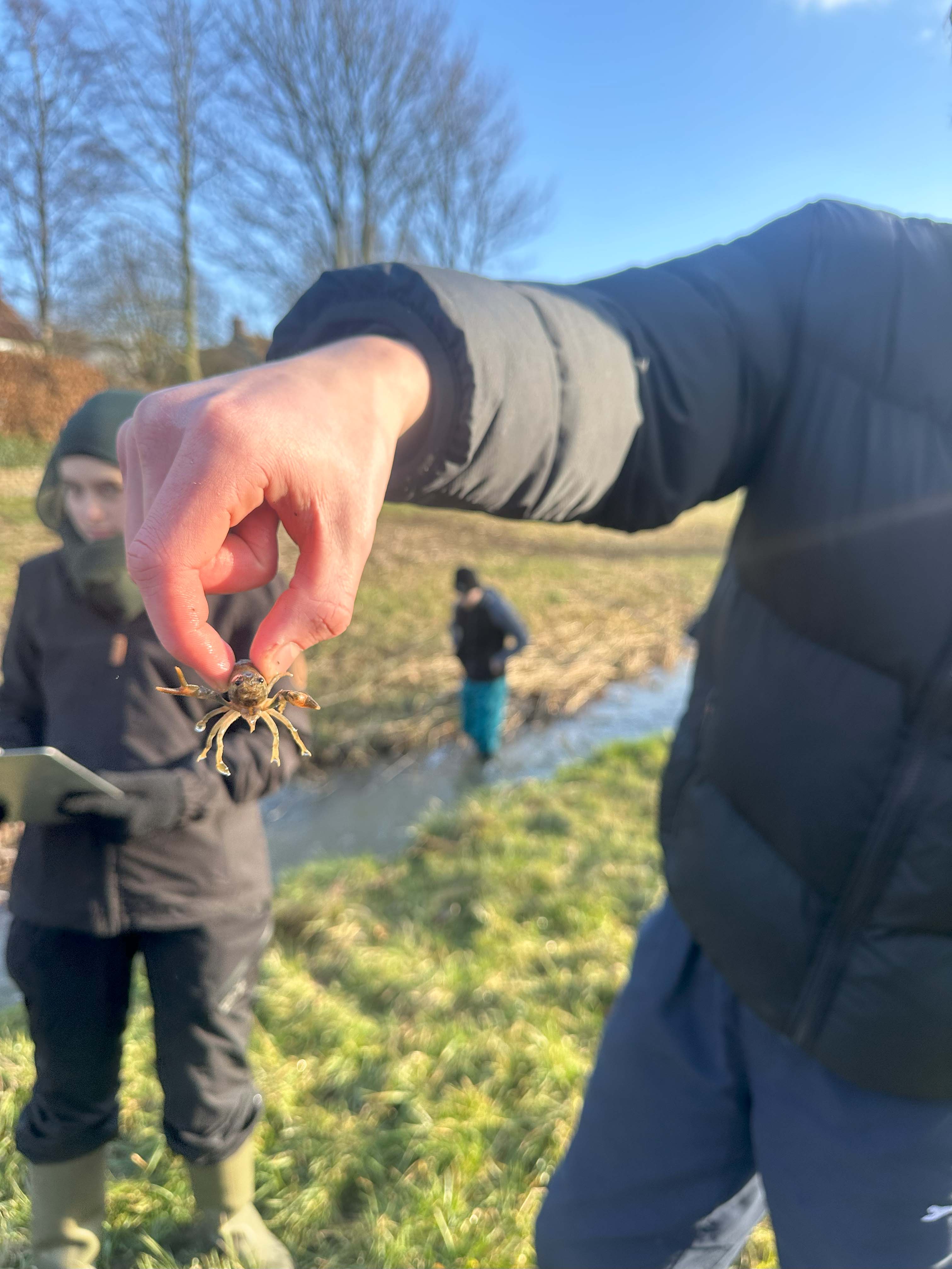 Sixth Form Biologists Get Hands-On at Cranedale